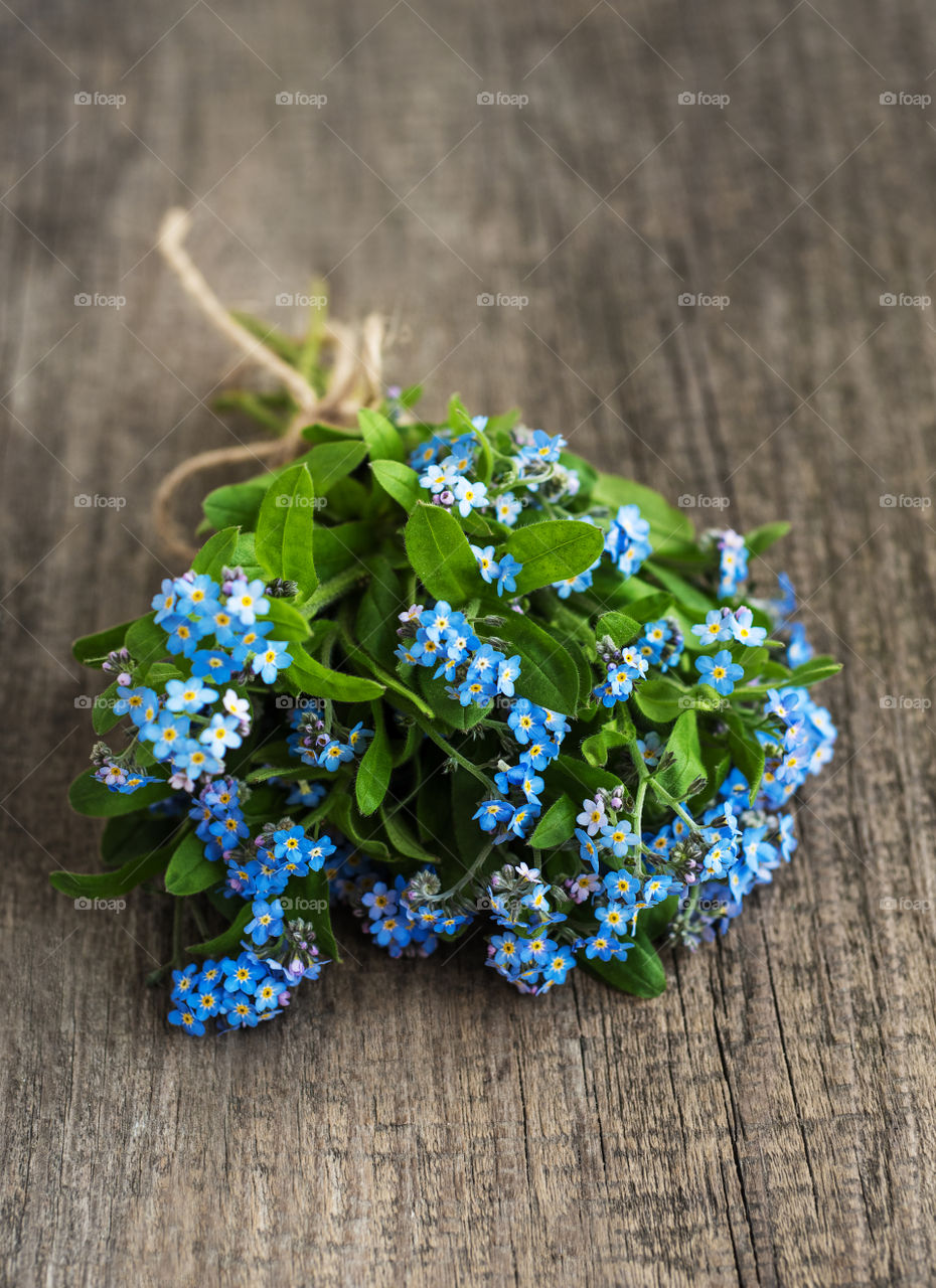 Flower, Nature, Flora, Leaf, Wood