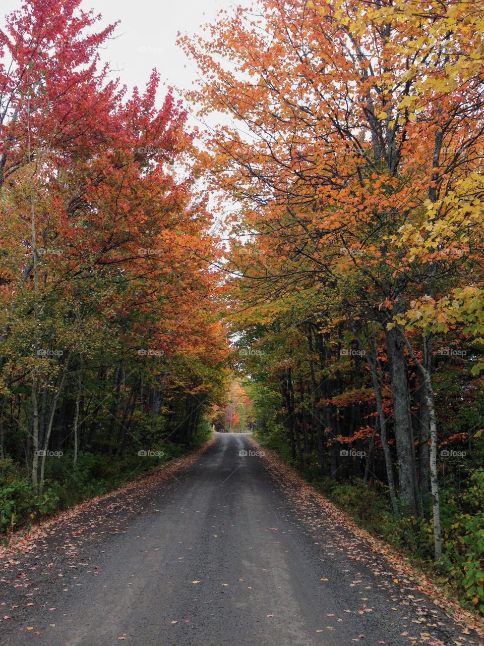 Autumn Bike Rides 