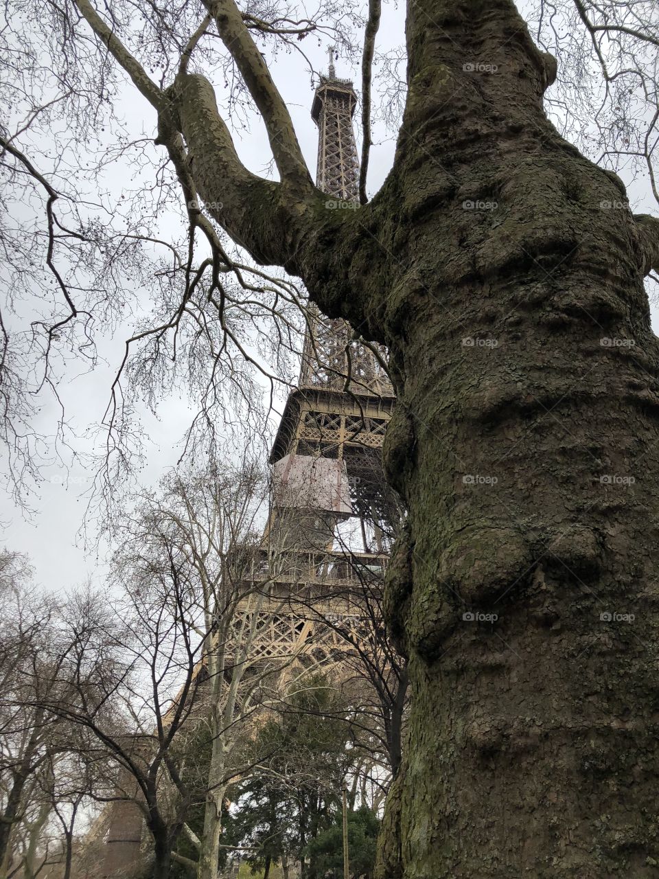 Eiffel Tower France 