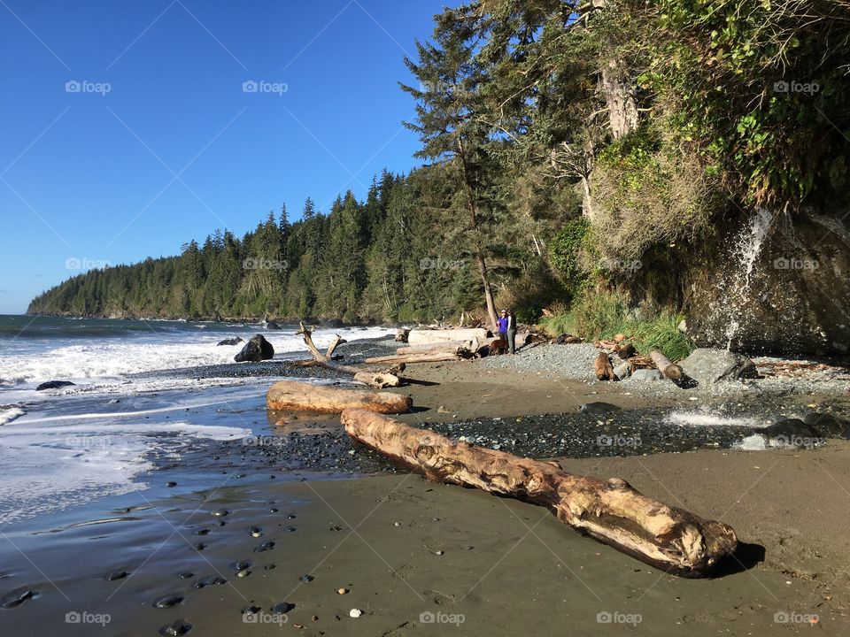 Through the forest to the beach