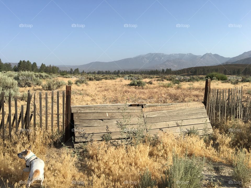 Fence through a field