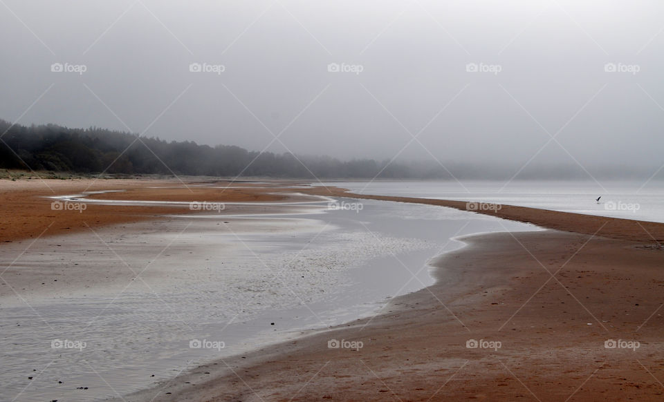 Water, Beach, No Person, Landscape, Sand