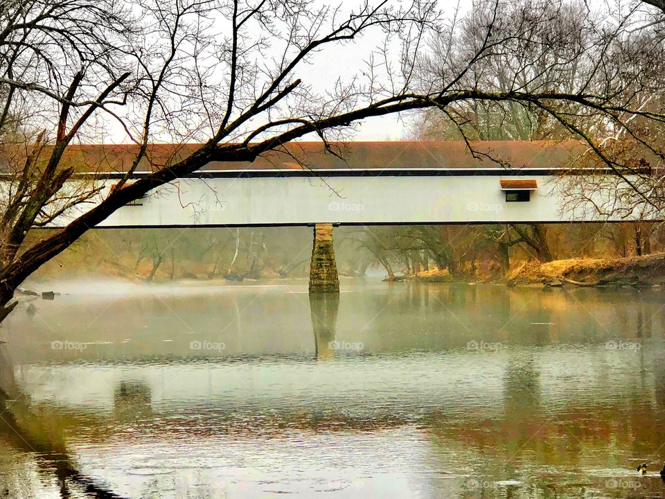 Foggy day at Potters bridge park in Indiana 