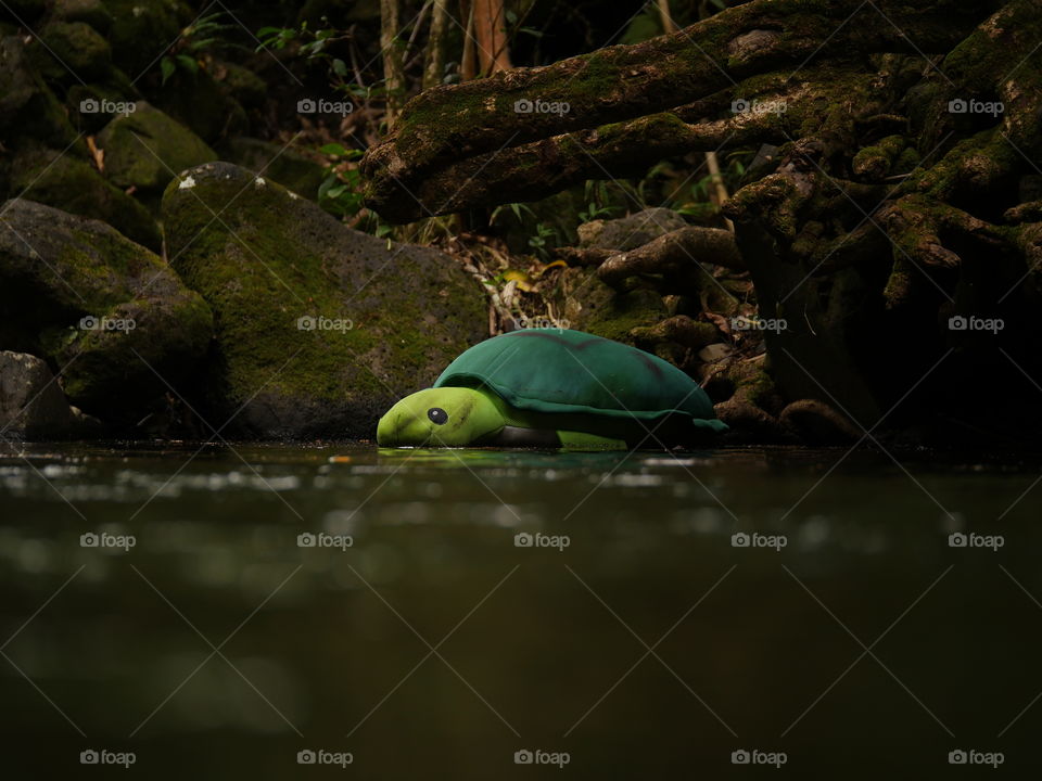 Green turtle toy floating on the river in a tropical jungle 