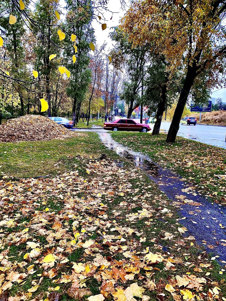#rain #leaves#
#Autumn #road #