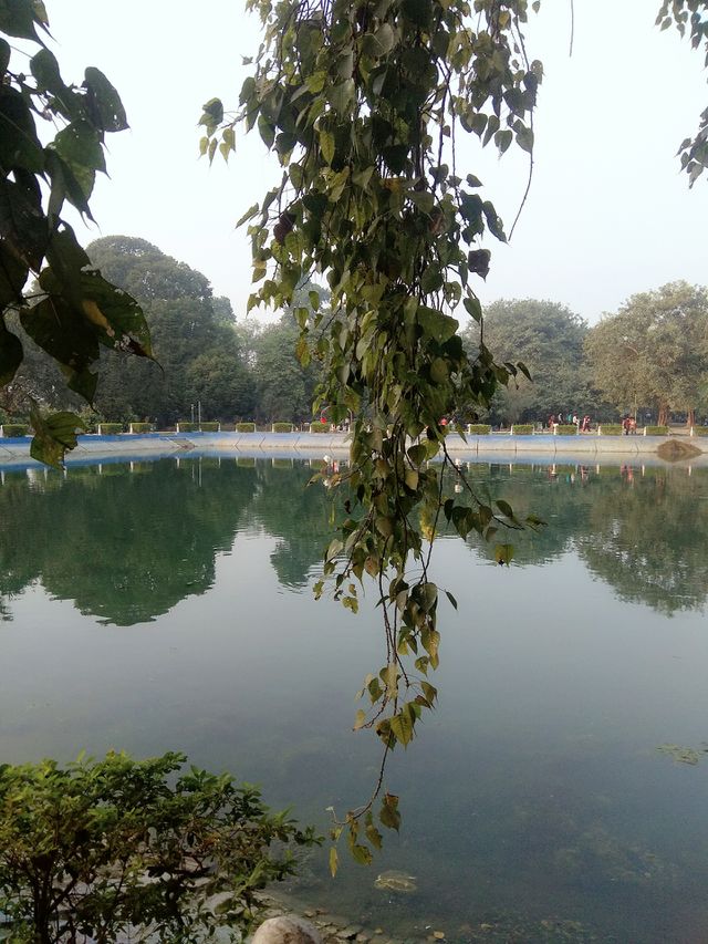water reflection