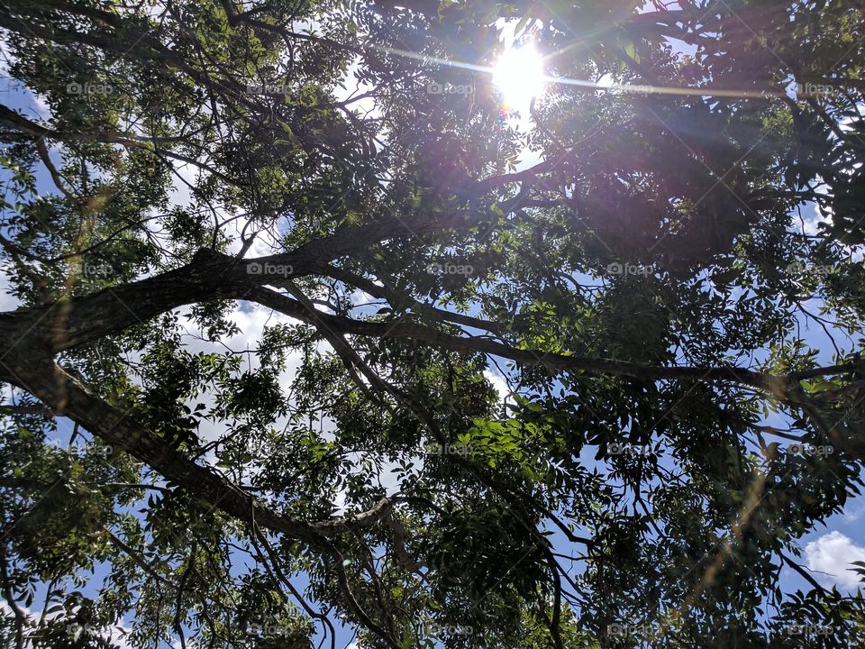 enjoying the shade