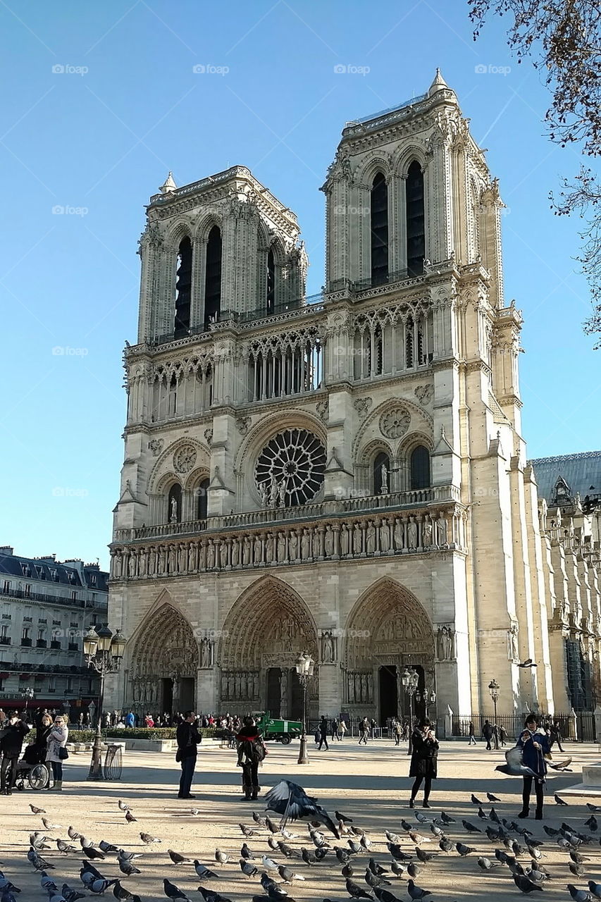 Parvis Notre-Dame and Cathédrale Notre-Dame in Paris, France
