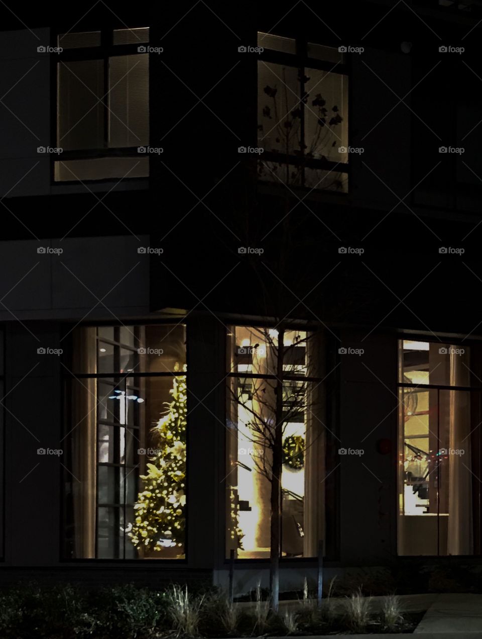 Ready for Christmas with a decorated tree in the window 