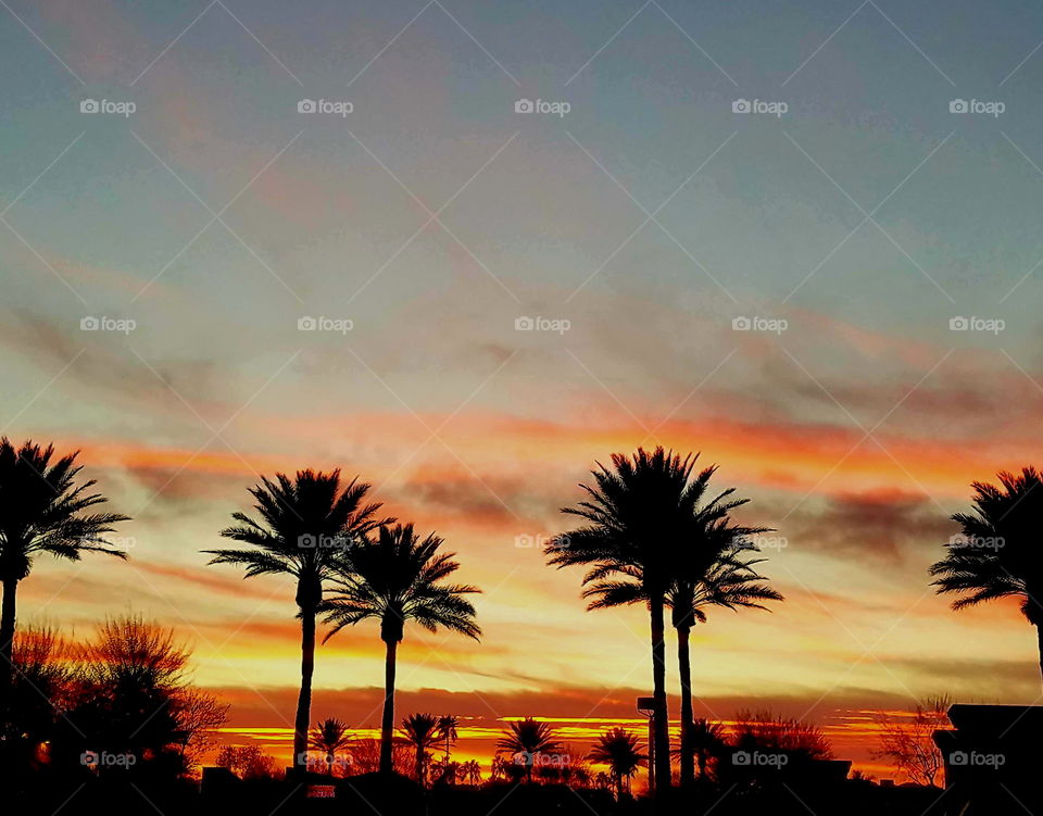 AZ Winter sunset.