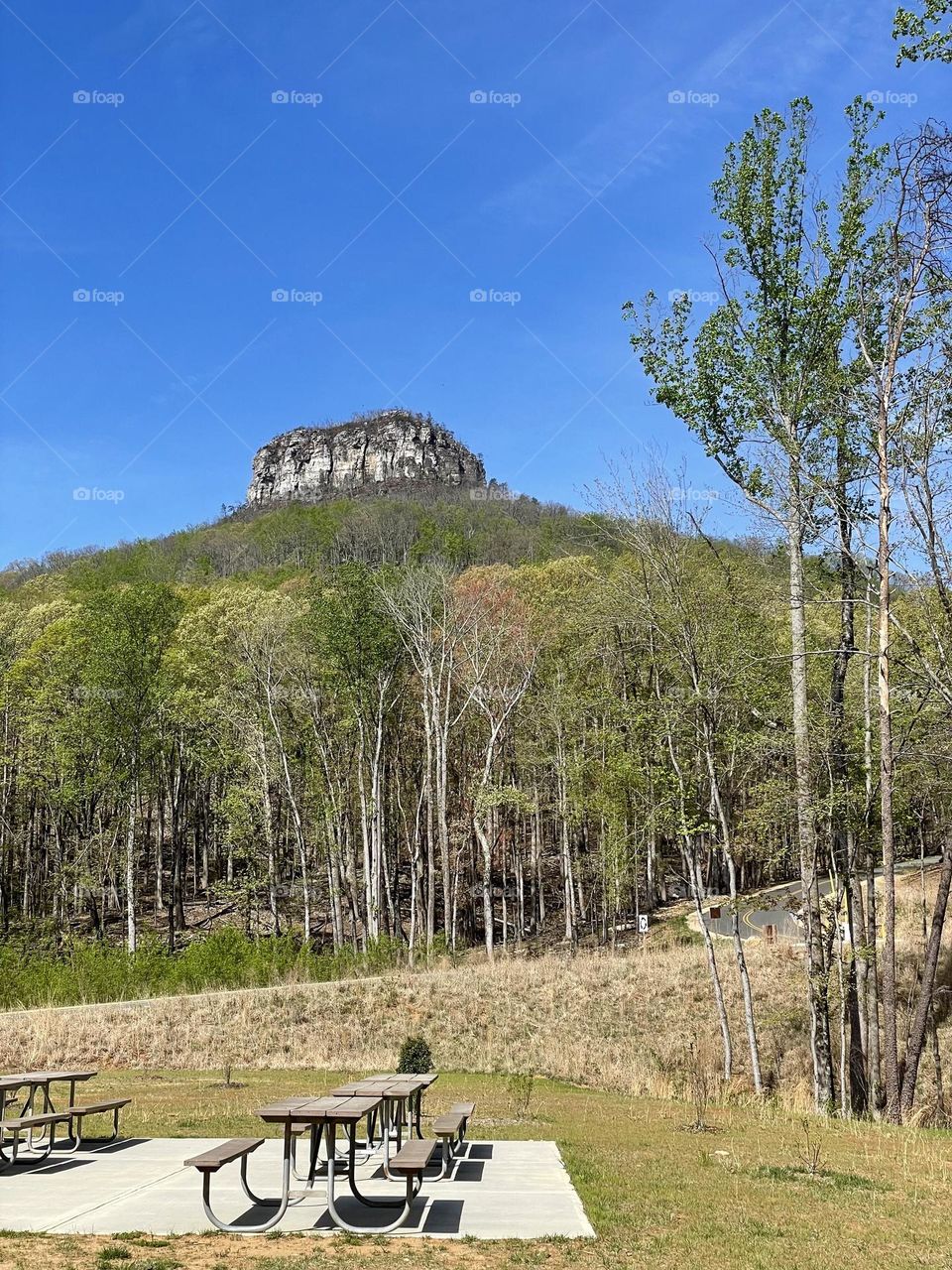 Scenic view of Pilot Mountain with blue sky