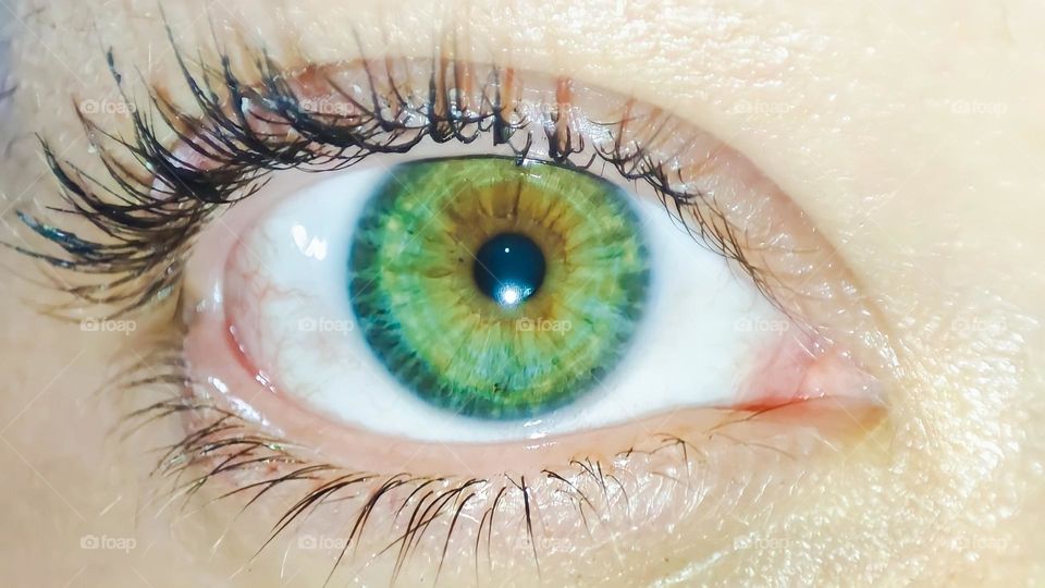 green eye