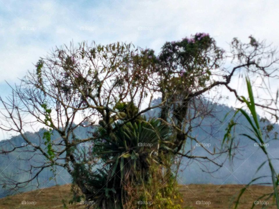 Rio dos Cedros,SC, Brazil