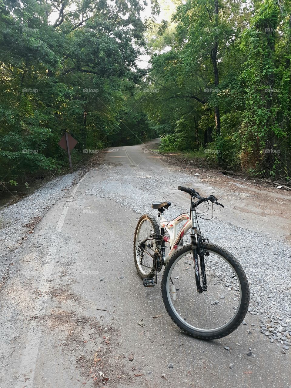 Bike Ride