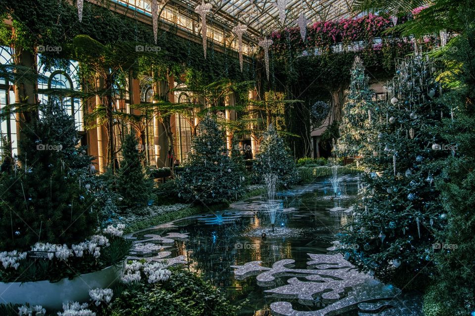 Fire and Ice…a Longwood Christmas 