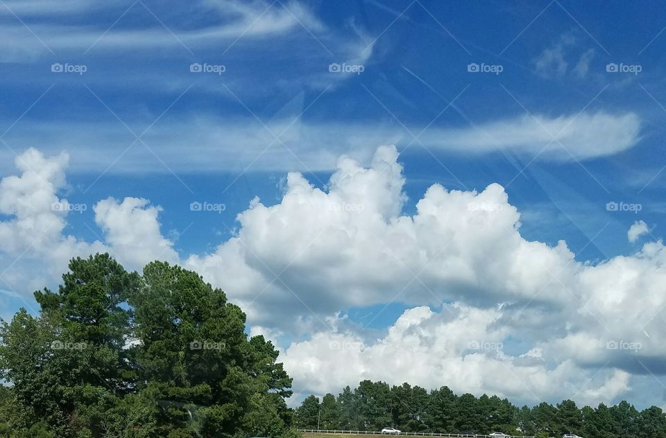Scenic view of fluffy clouds and tree
