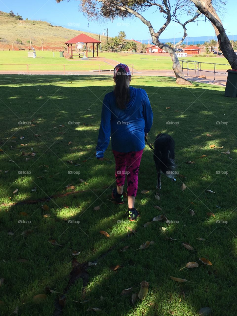 Young girl in shade of trees walking dog border collie in grassy park