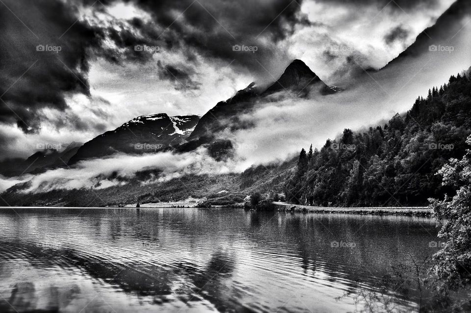 Misty fjords