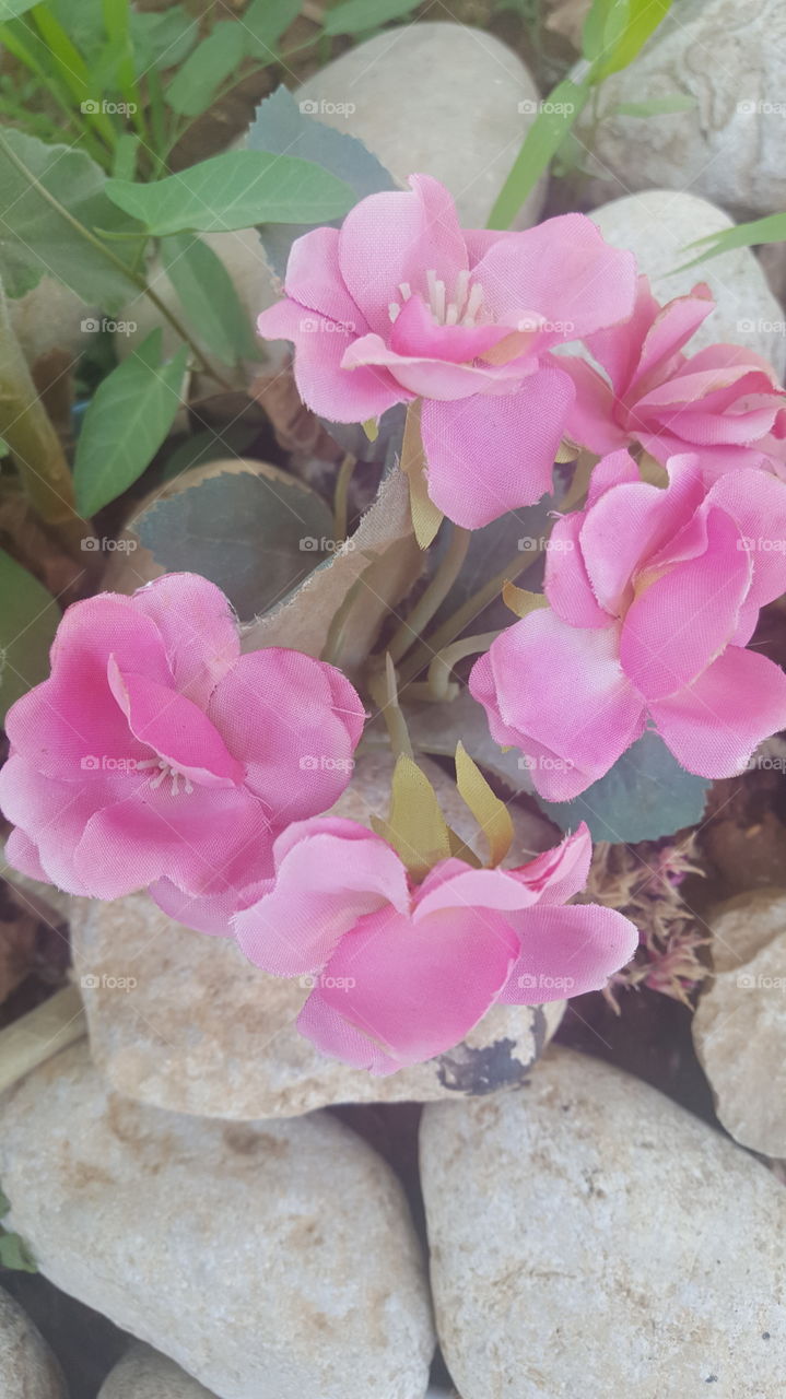 Spring in my country