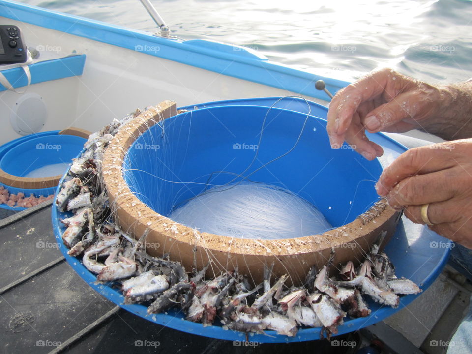 Palamito. Tecnica di pesca molto usata in mare
