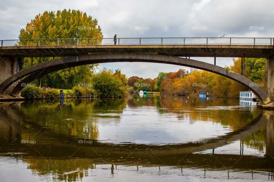 Bridge