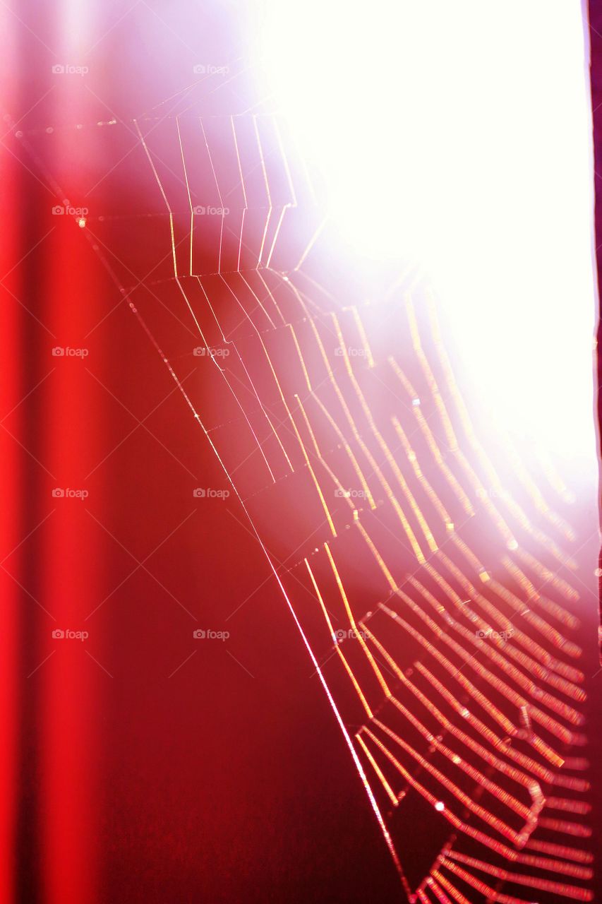 A spider's web against a bright red background