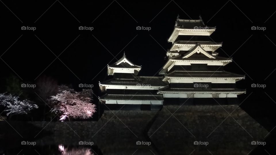 Matsumoto Castle at night during ohanami