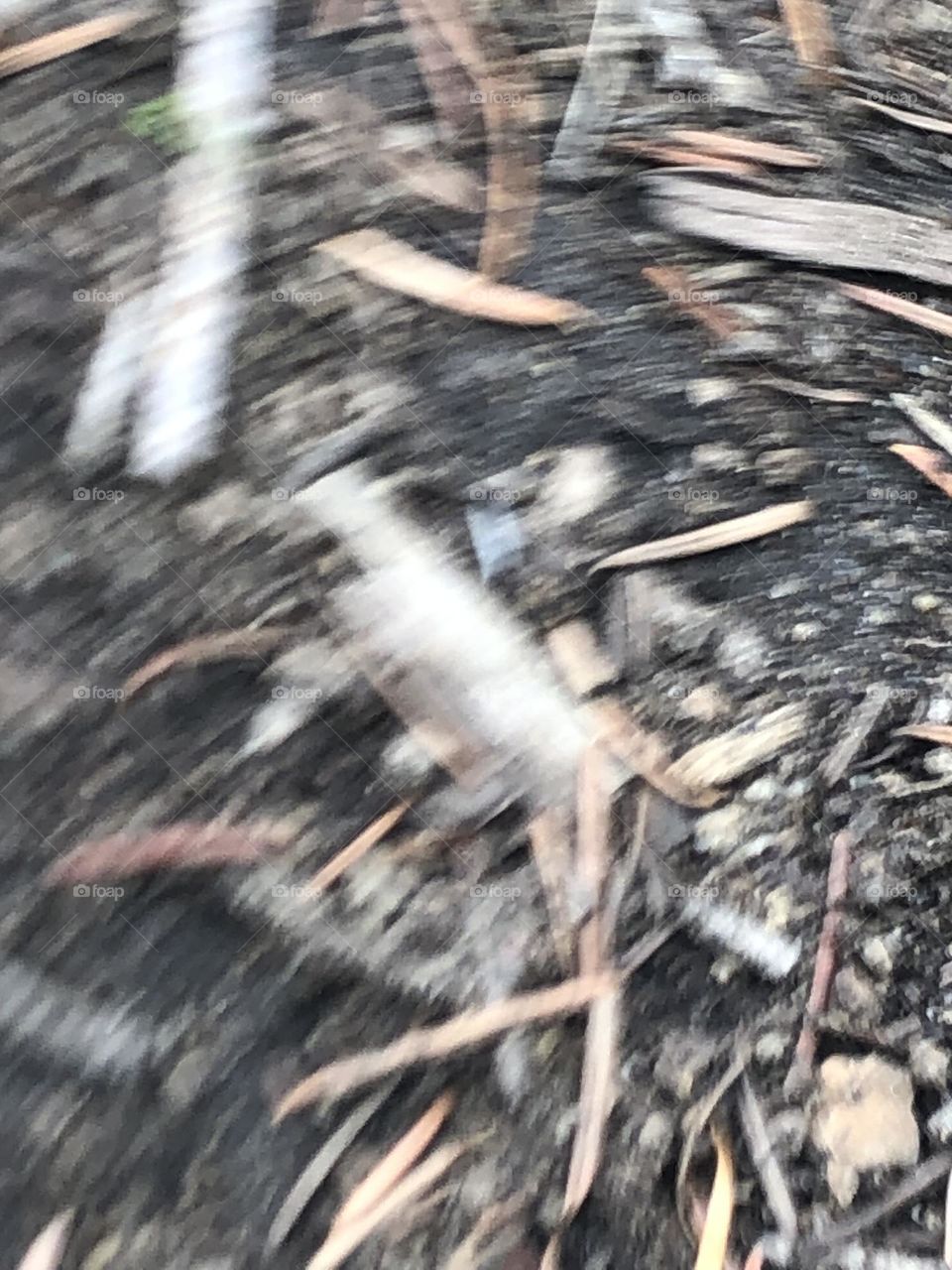 Trail blur