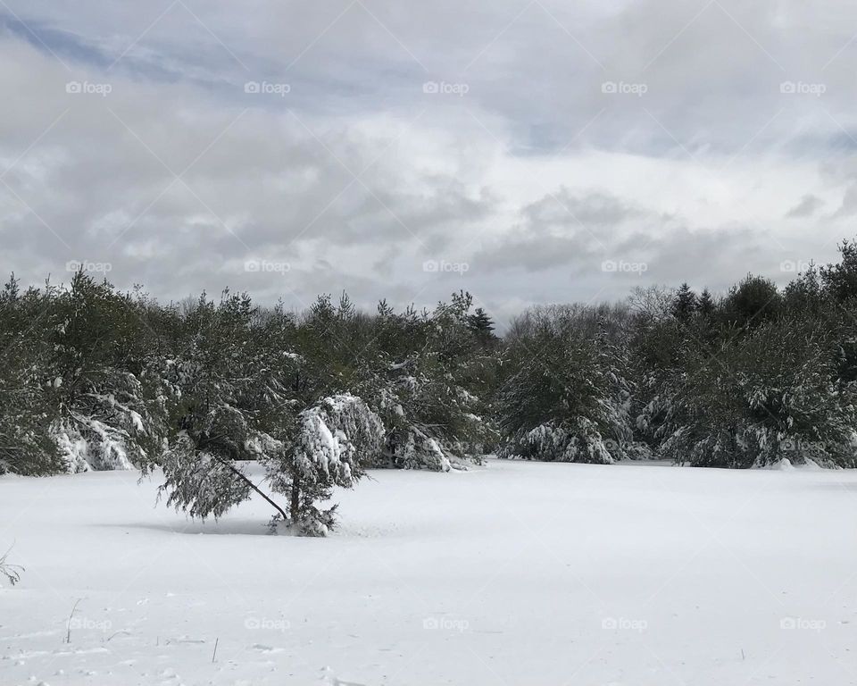 Snow covered landscape with thick, cloudy sky