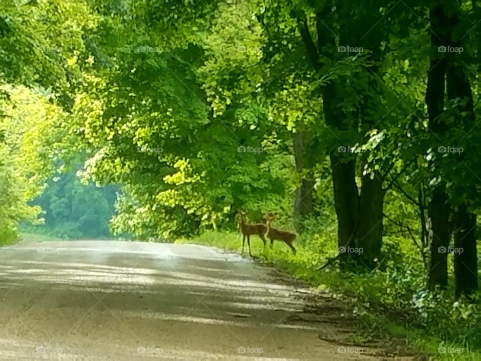 Driving the Back Roads and enjoying everything around us