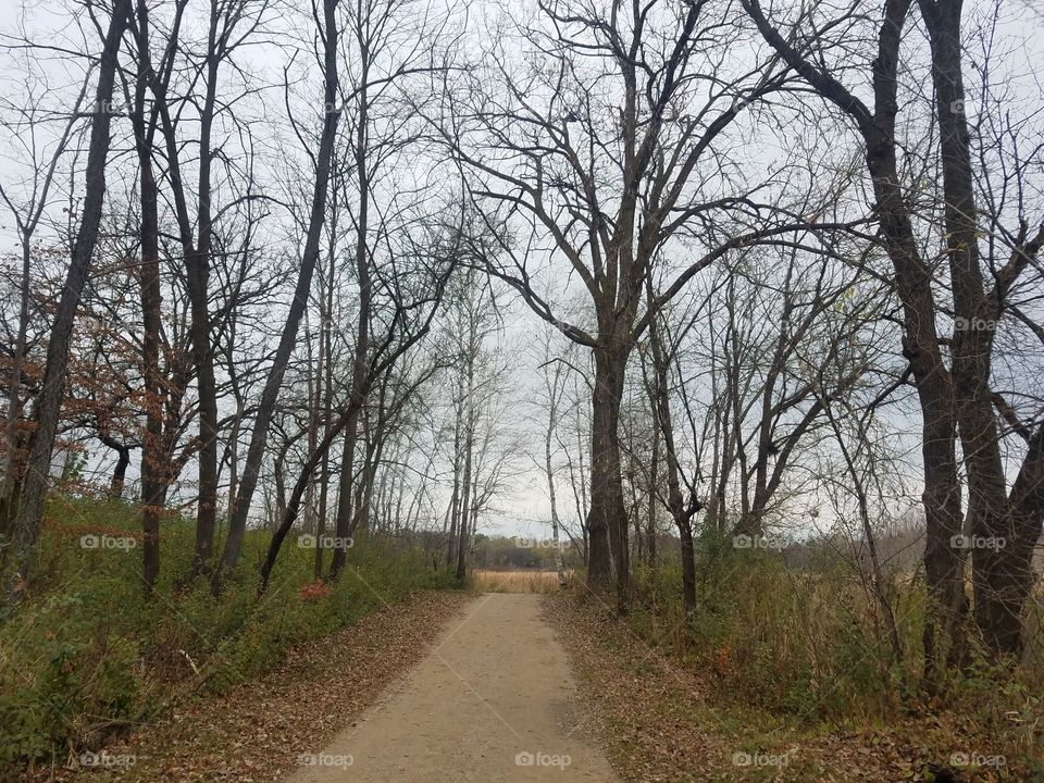 nature trails