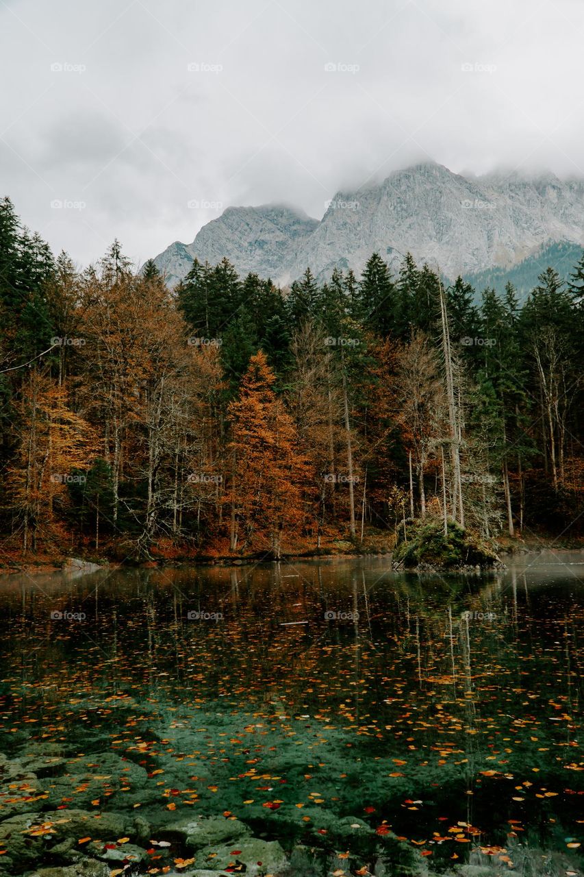 Alpine Autumn