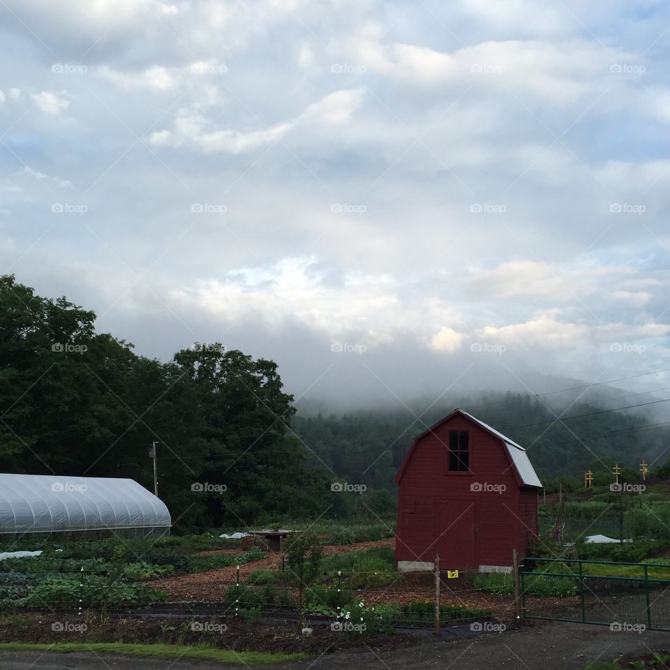 Farm at dusk 