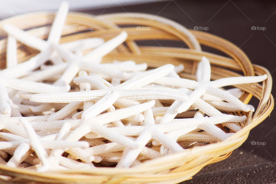 Beach star ⭐️ shell 🐚😍