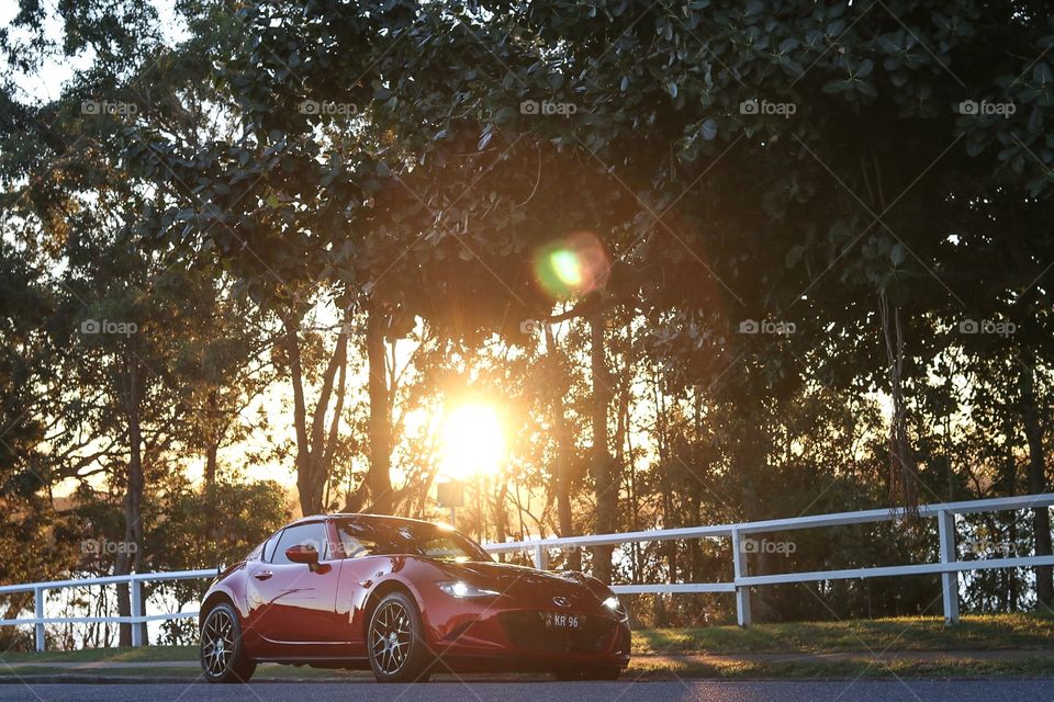 Sunshine and a car