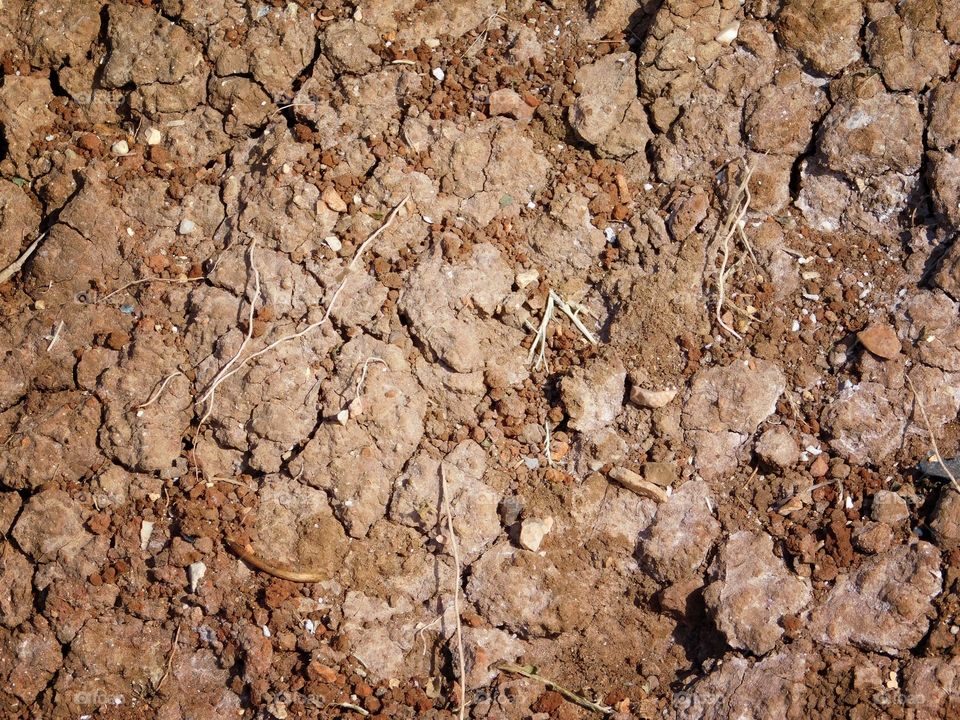 dry earth