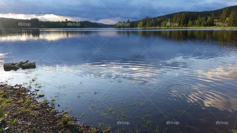 High angle view of nature