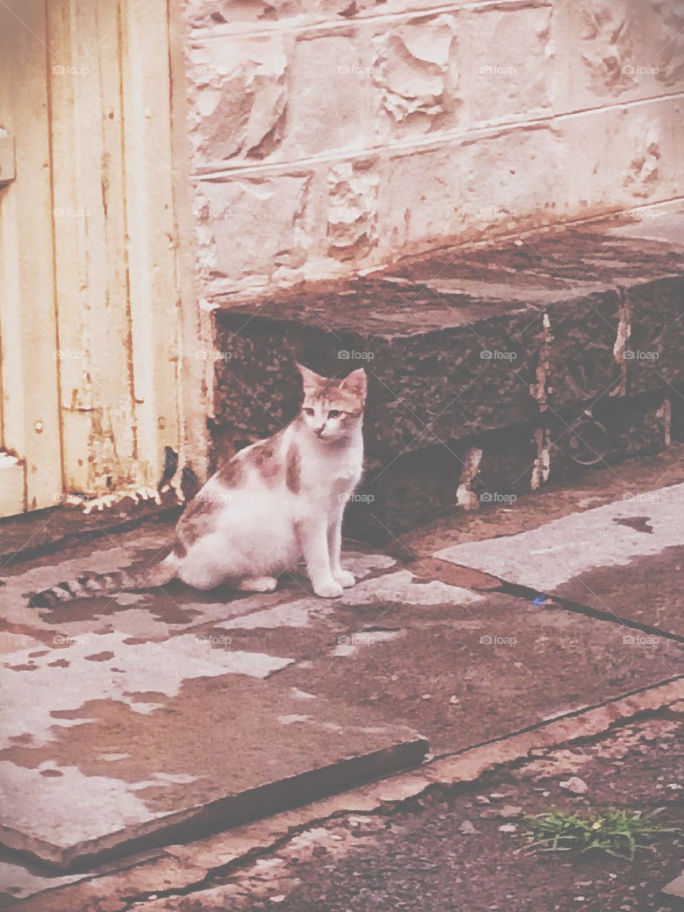 Vintage look a like pic of pregnant Cat, looks extremely protected and lovely at the same time.
