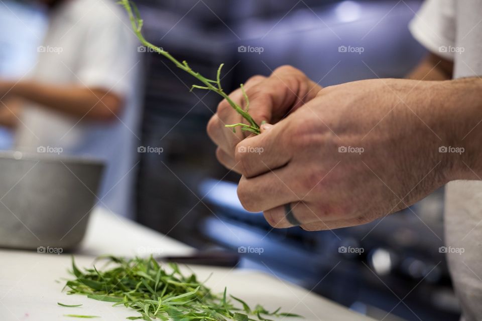 Tediously tearing tarragon