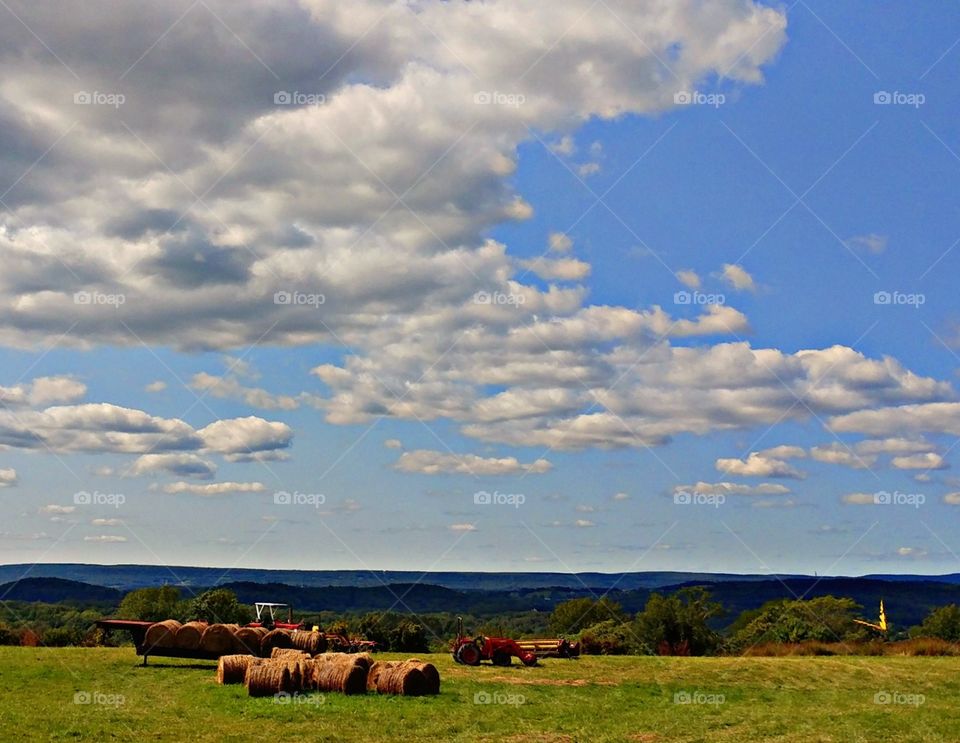 farmland view