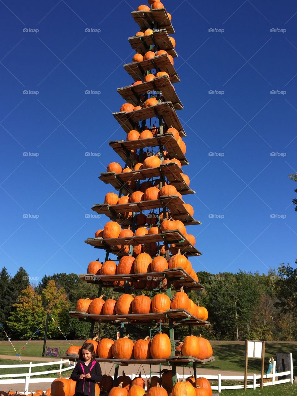 Little girl standing near stack of pumpkins