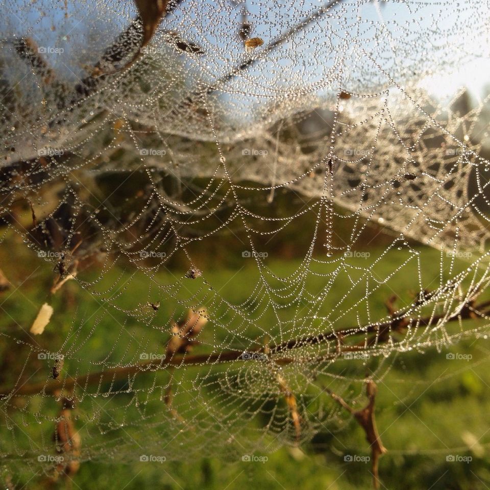 It is a beautiful day!