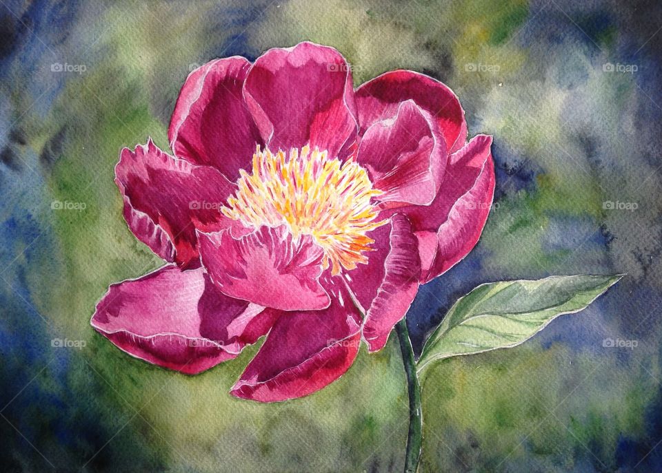 Watercolor peony flower by me 