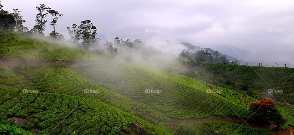 Munnar