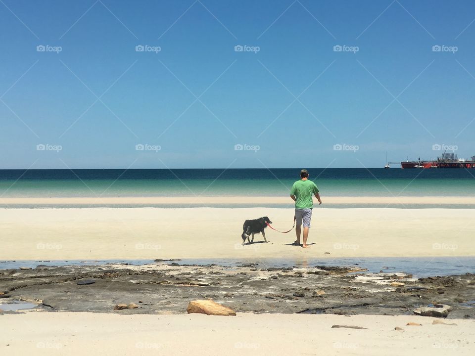 Man youth in green tee shirt and shorts walking border collie sheepdog at low tide toward ocean, cargo ship on horizon