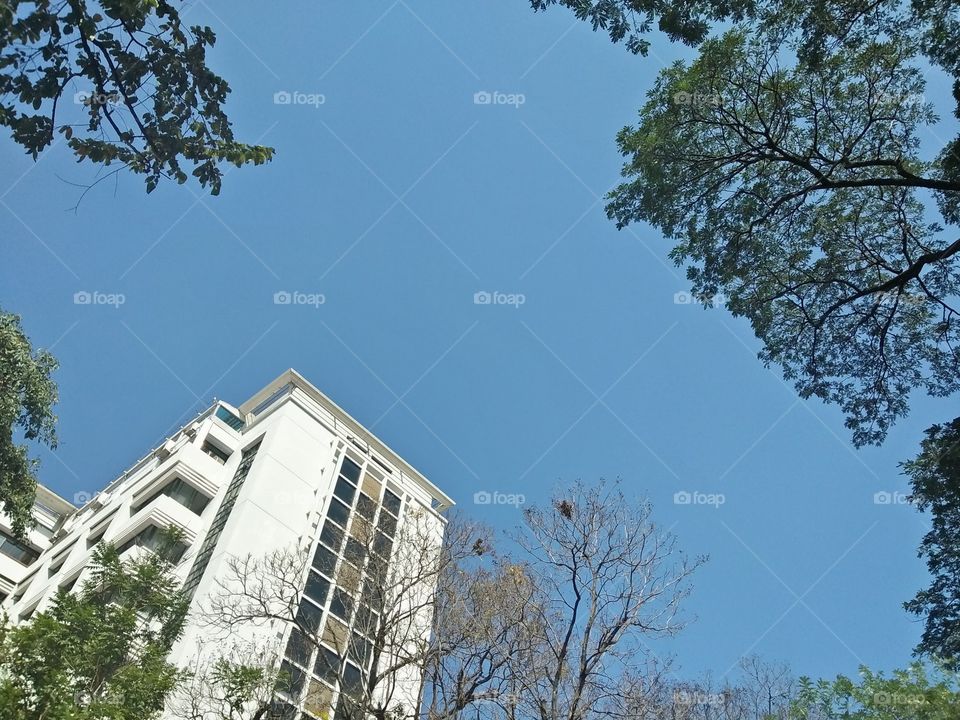 Culalangkrong University 