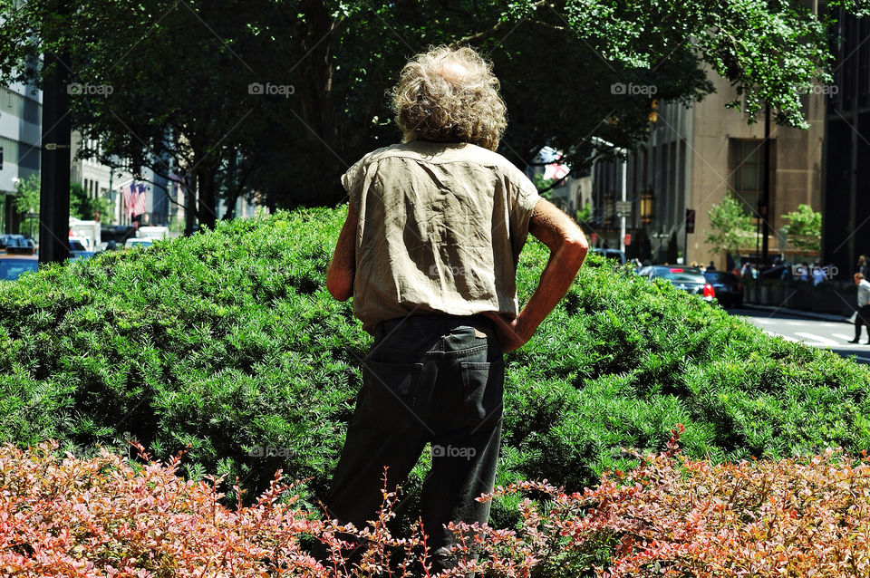 green plants park man by delvec