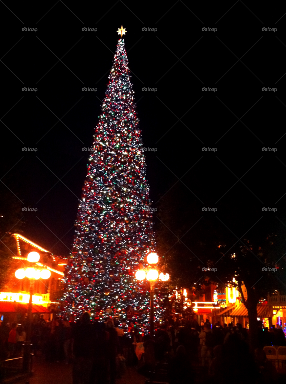 california tree christmas tall by emmanuelgr