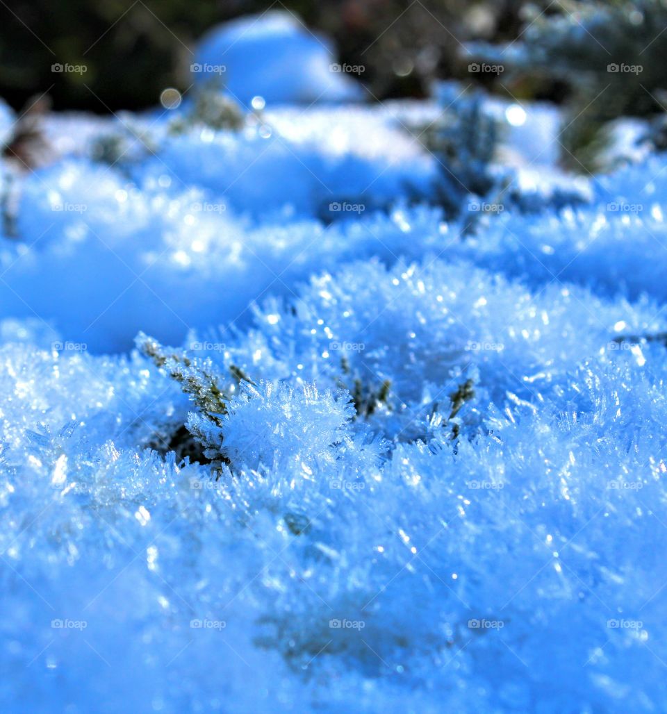 Snow on ground