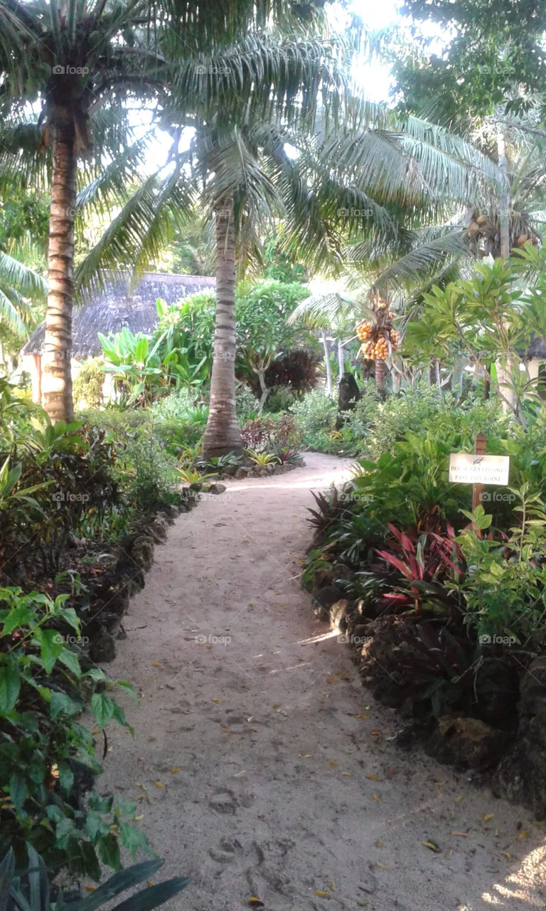 island path